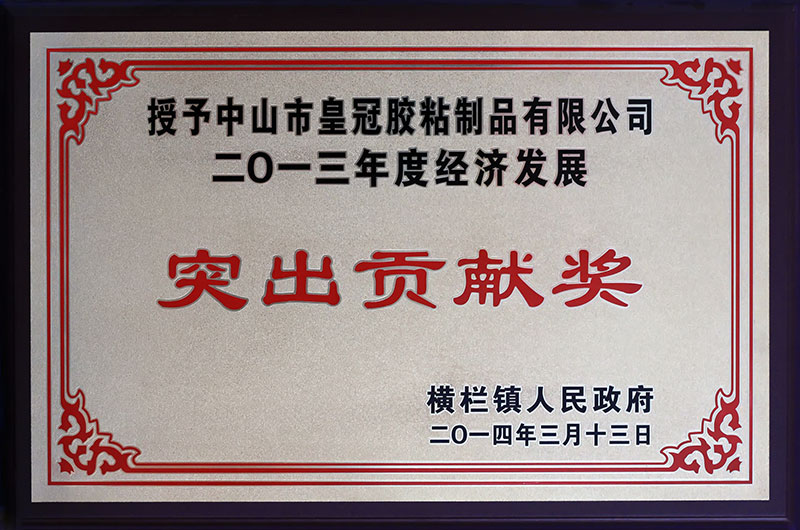 荣获“2013年度经济发展突出贡献奖”